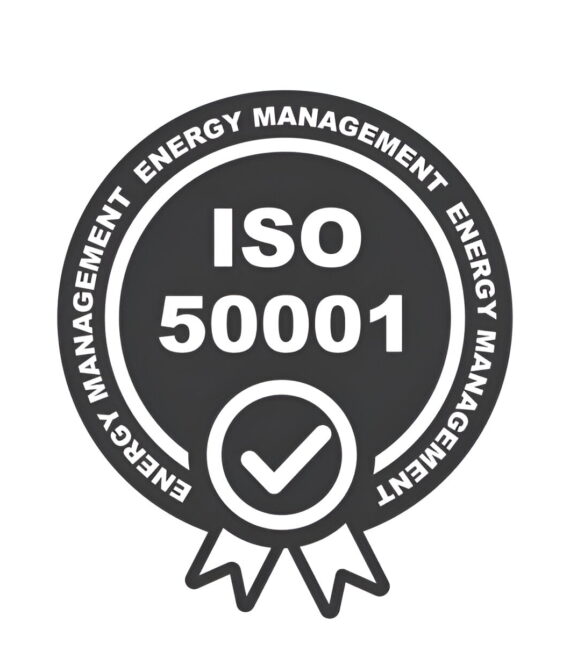 steptodown.com182979